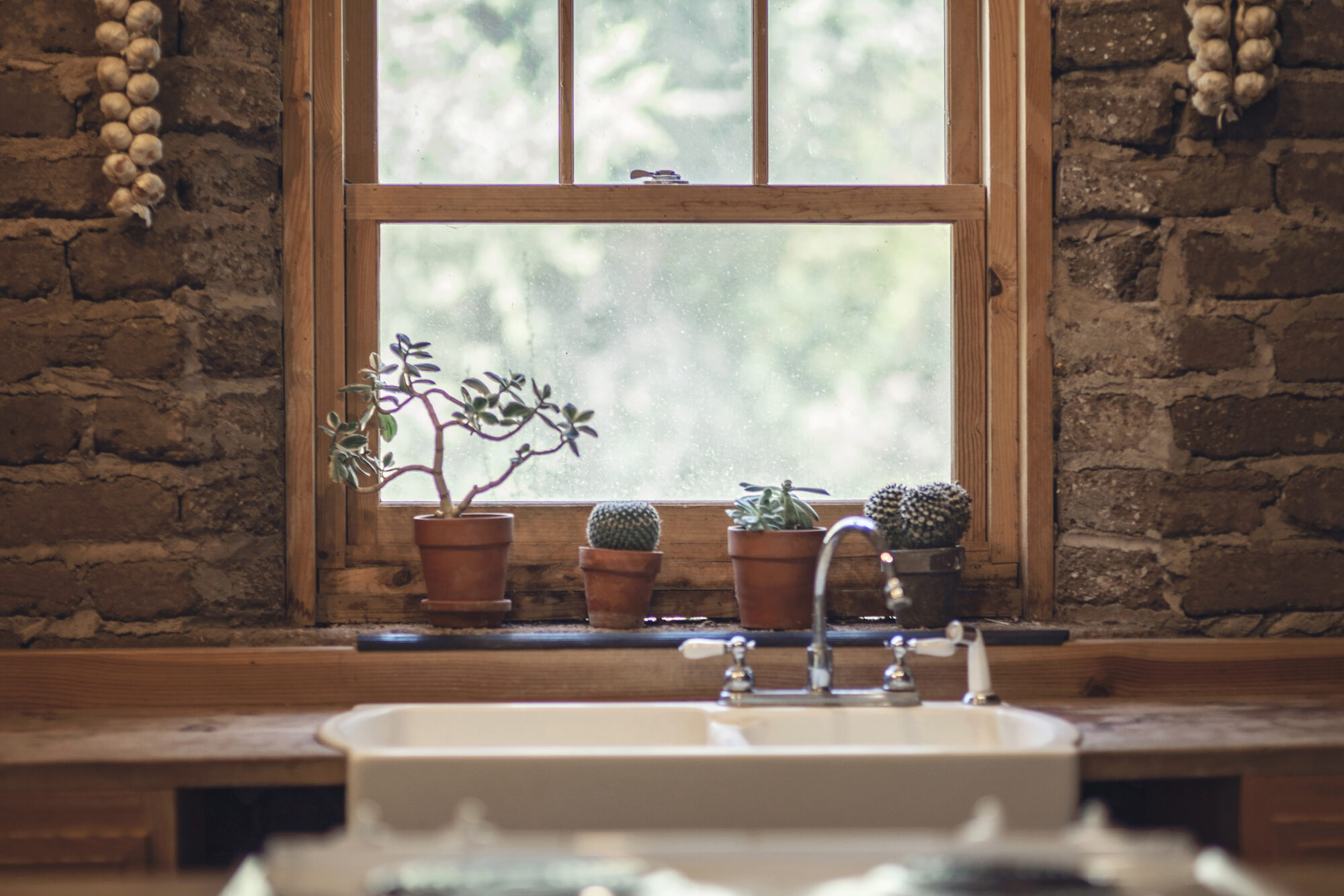 A kitchen window with plants (representative photo — pictures of the actual home are coming)